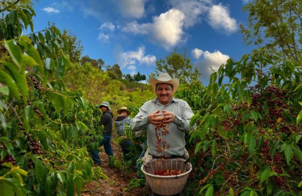 guatemalan