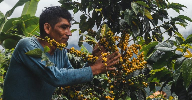 peru